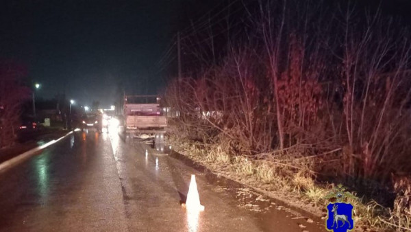 Под Самарой под колёсами грузовика погиб пешеход