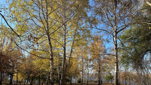 В Самарской области антициклон принесет потепление до +13°C