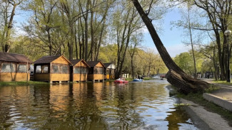 Полвека в сердце города: парку Гагарина в Самаре исполнилось 50 лет