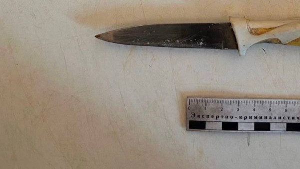 Под Самарой женщина ножом изрезала супруга