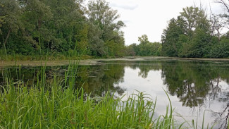 В Самаре в озере Монашеское утонул мужчина 9 июня