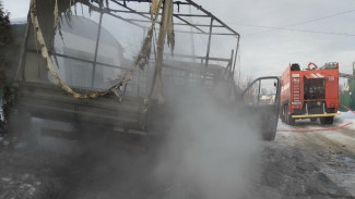 В Самарской области прямо на дороге дотла выгорела Газель