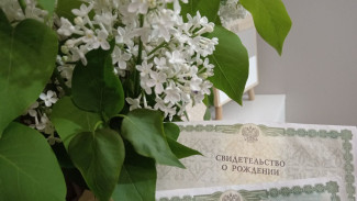 Самарцам назвали самые популярные в январе 2026 года имена для новорождённых