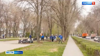В Самаре прошел общегородской субботник 