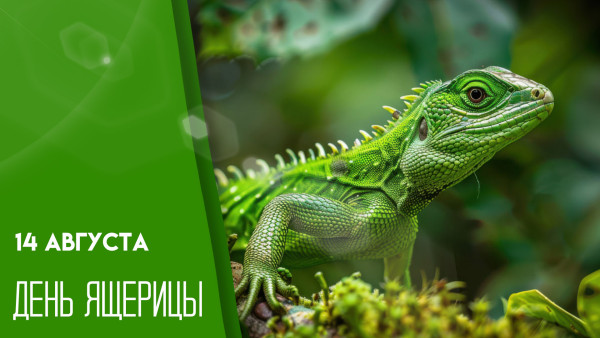 14 августа — Международный день ящерицы