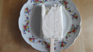 В Самару пришло предупреждение о продаже неправильного мороженого