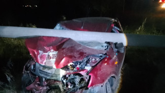 Под Самарой 59-летнего водителя раздавило в кабине из-за упавшего столба