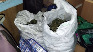 У жителя Самарской области изъяли больше 3,5 кг марихуаны 