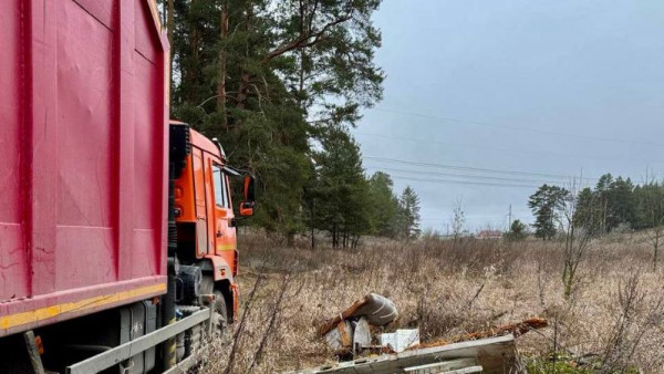С территории двух лесничеств Самарской области вывезли более 342 тонн мусора 