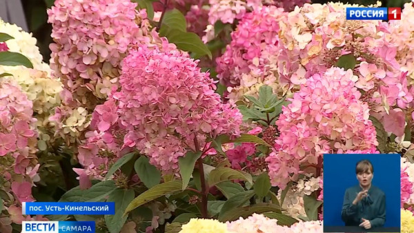 Вера Глухова представила разнообразие цветов на агровыставке