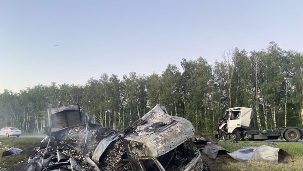 Улетел и загорелся: в Самарской области в страшном ДТП погиб водитель большегруза 