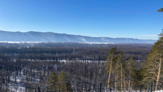 Уйдем под воду: в Самарской области ждут мощный паводок — 2024