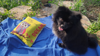 Горожане выбрали 5 лучших мест для летнего пикника в Самаре