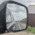 Самарцы запечатлели семейство диких косуль на магистрали города 