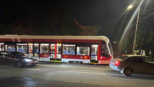 В Самаре до конца марта должно появиться ещё 20 "львят"