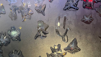 Народные приметы 17 февраля. Что сделать на Николу Студёного, чтобы все начали завидовать вашему здоровью