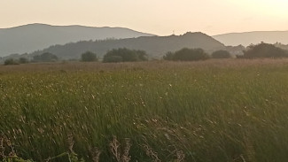 Большая разница дневных и ночных температур, туман и заморозки ожидают самарцев с 15 сентября