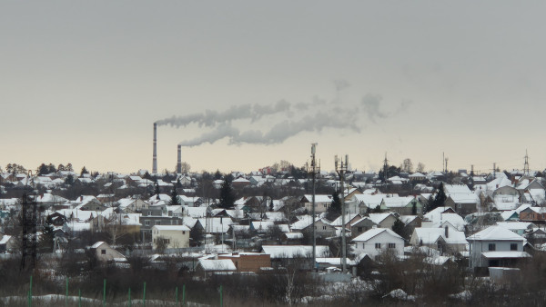 Под Самарой хотят защитить лес от строительства комплекса переработки отходов