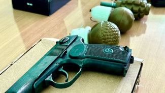 У жителей Самарской области отобрали более 1000 единиц оружия