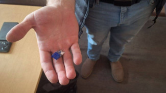 В лесу под Самарой поймали нервного любителя острых ощущений