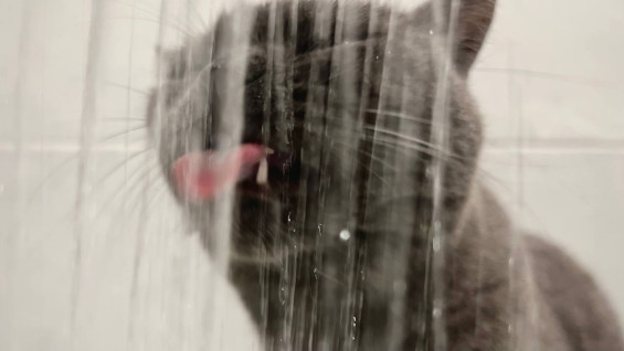 26 декабря на нескольких улицах Самары временно отключат воду