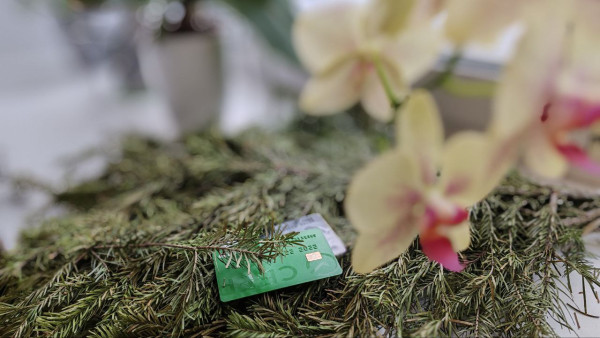 Чиновникам Самарской области запретили хранить деньги в зарубежных банках