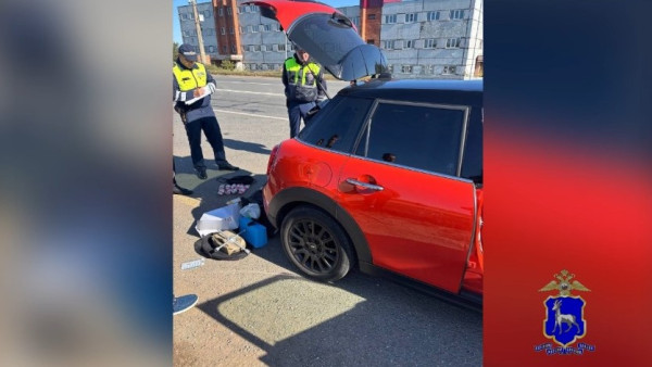 В Тольятти в красном Mini Cooper нашли 5 кг мефедрона