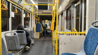 В Самару прибудут три новых трамвая «Витязь» до конца января 2025 года