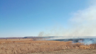 В «Кошелеве» полыхают поля