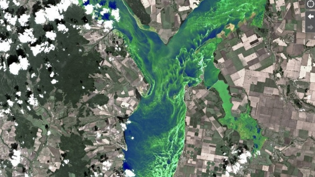 Спутниковый снимок Волги