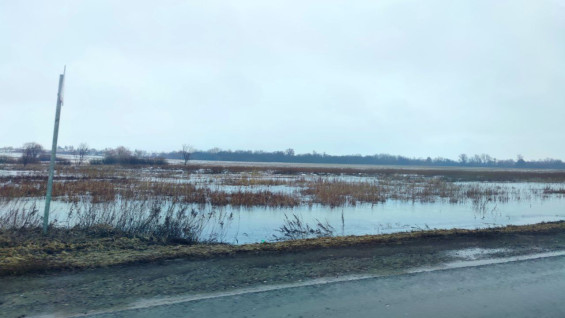 Четыре города перешли в режим повышенной готовности из-за сильного паводка