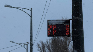 Самарцам напомнили, кто может бесплатно ездить на общественном транспорте