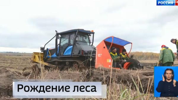 "Вести Самара": в Самарской области продолжают восстанавливать лес