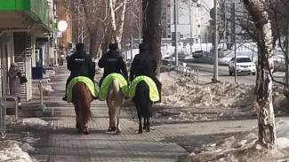 На улицы Самары вышла конная полиция