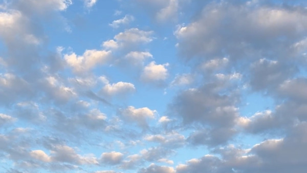 В Самарской области сбили БПЛА утром 15 апреля