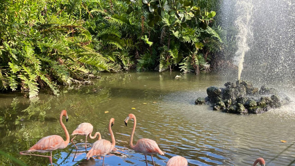 Гороскоп на 19 сентября: этим 3 знакам предстоят трудности и испытания