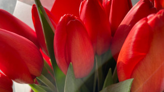 Народный праздник: 18 марта. Чем опасны спицы и иглы в день Конона Огородника 