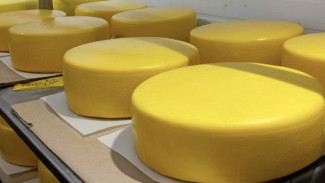 Самарцев предупредили об опасном сыре-призраке на прилавках