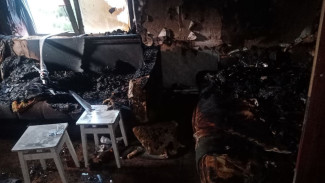 Пожар в Сызранском районе унес жизнь мужчины 11 августа