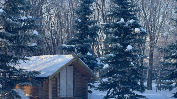 До -25°C: в выходные 7и 8 февраля в Самарской области будет морозно