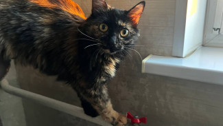 С 13 по 26 августа в Самаре будет временно отключена горячая вода