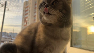 Эксперты прогнозируют резкий рост цен на новостройки в Самаре 