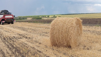 День Ивана Постного 11 сентября 2024: почему в этот день нельзя мыть голову и ходить в магазин