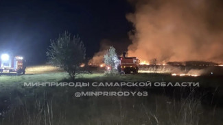 Под Самарой потушили крупный лесной пожар на 2 гектарах