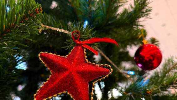 Стало известно, сколько самарцев планируют путешествовать на Новогодние праздники