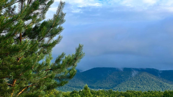 Народные приметы на 7 августа: что нужно есть на Анну Летнюю
