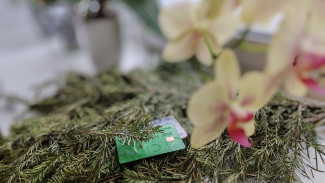 Стало известно, как избавиться от скрытых списаний денег с карты