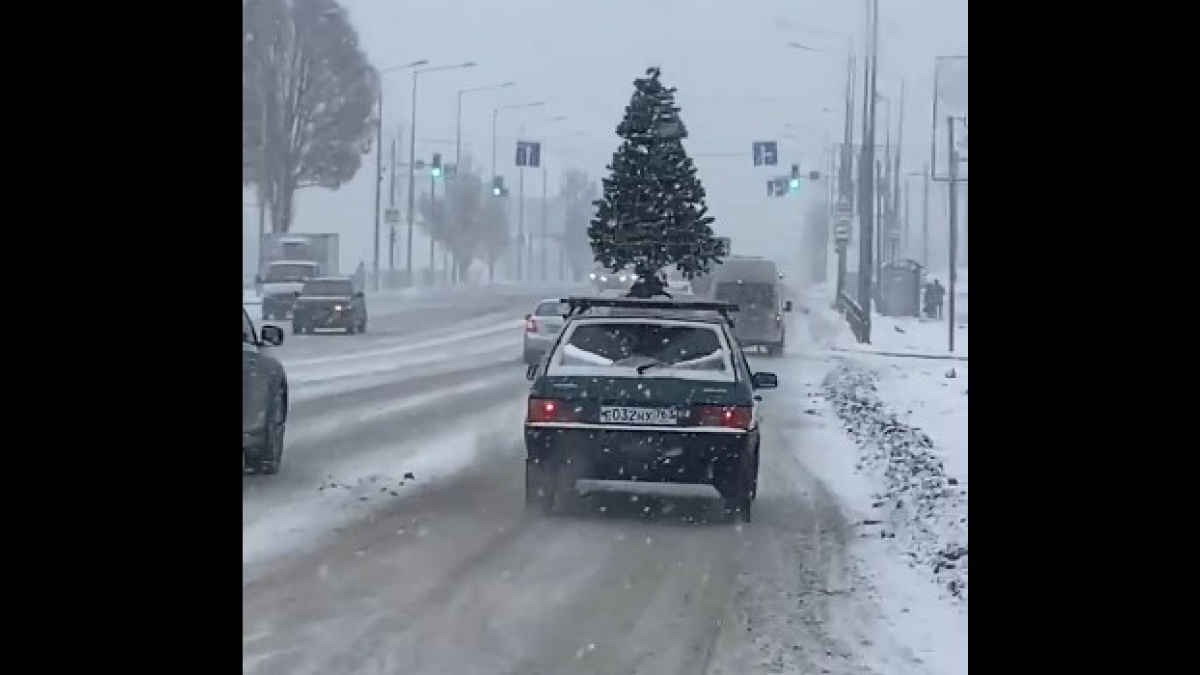 Видео: по дорогам Самарской области разъезжает наряженная ёлка – Новости  Самары и Самарской области – ГТРК Самара