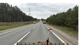 Под Самарой косуля погибла под колесами сразу двух автомобилей