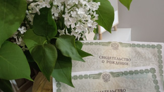 Самарцам назвали самые популярные в январе 2026 года имена для новорождённых